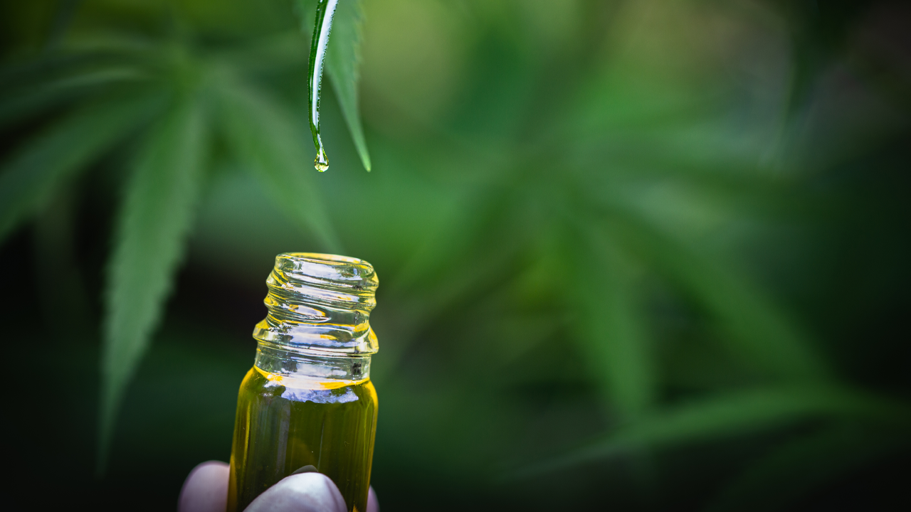 Best CBD Oil For Pain: Why Are They So Popular