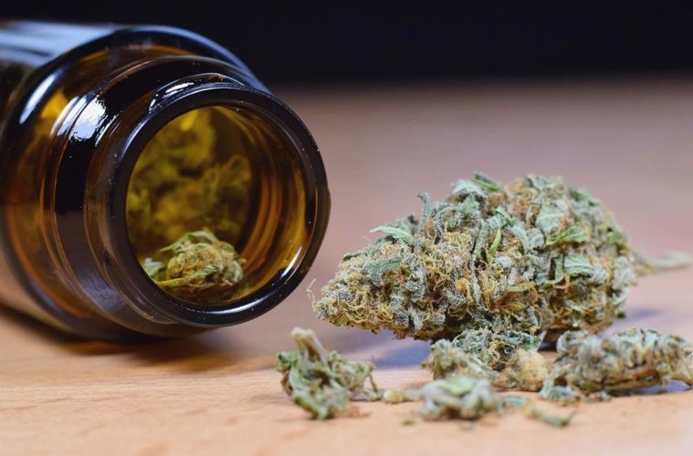 Enhancing Your Wellness Routine: Incorporating ExhaleWell CBD Flower